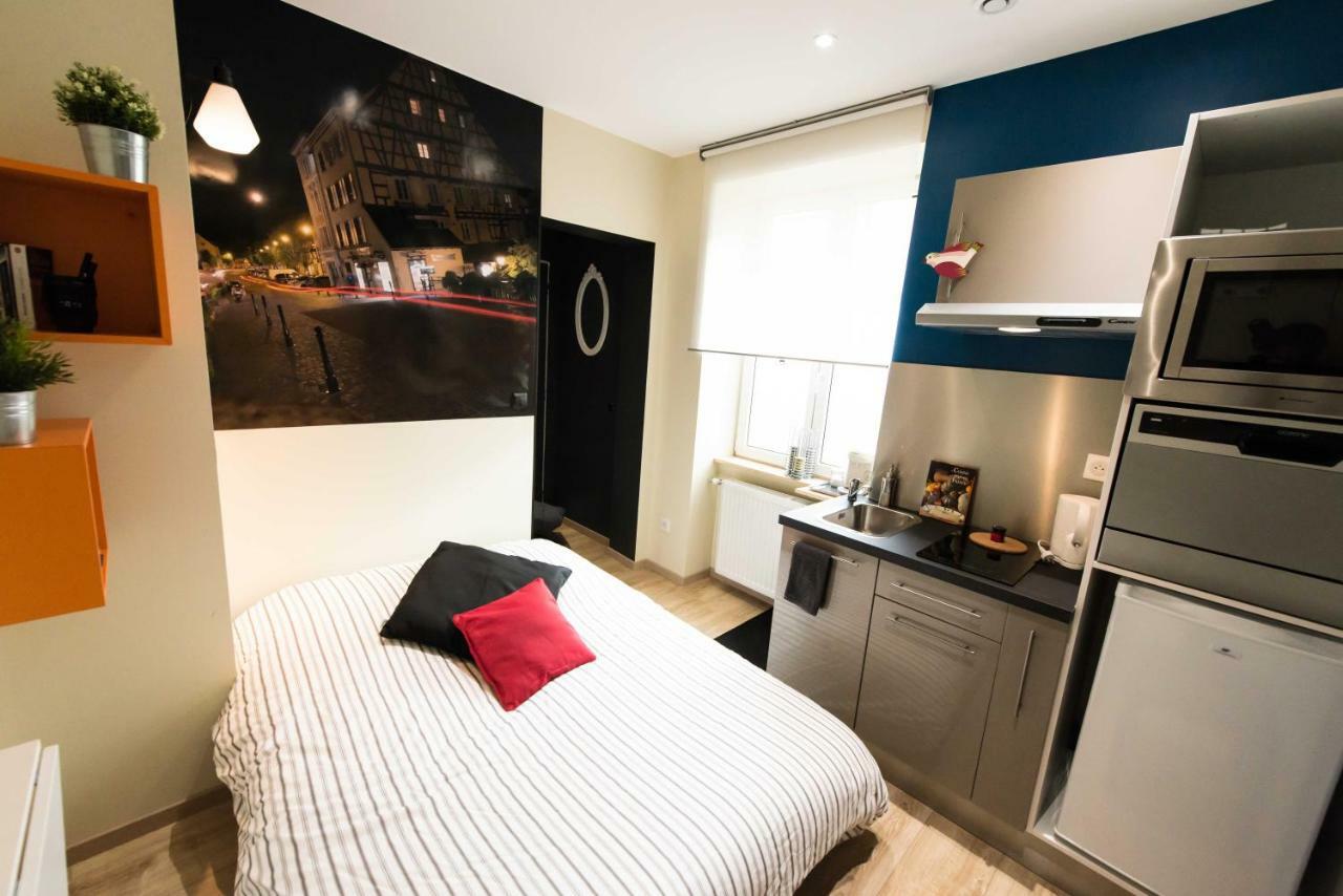 Splendide Studio Centre Colmar Bagian luar foto