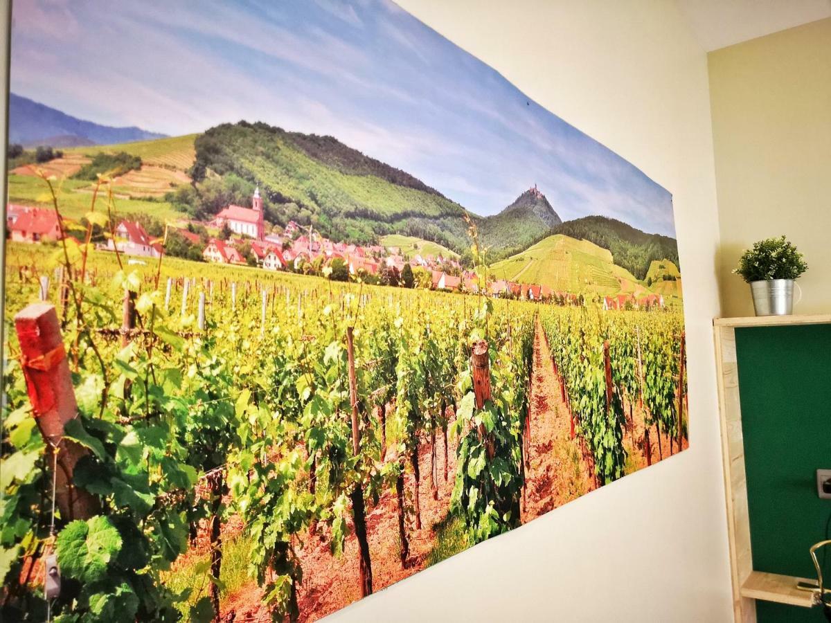 Splendide Studio Centre Colmar Bagian luar foto